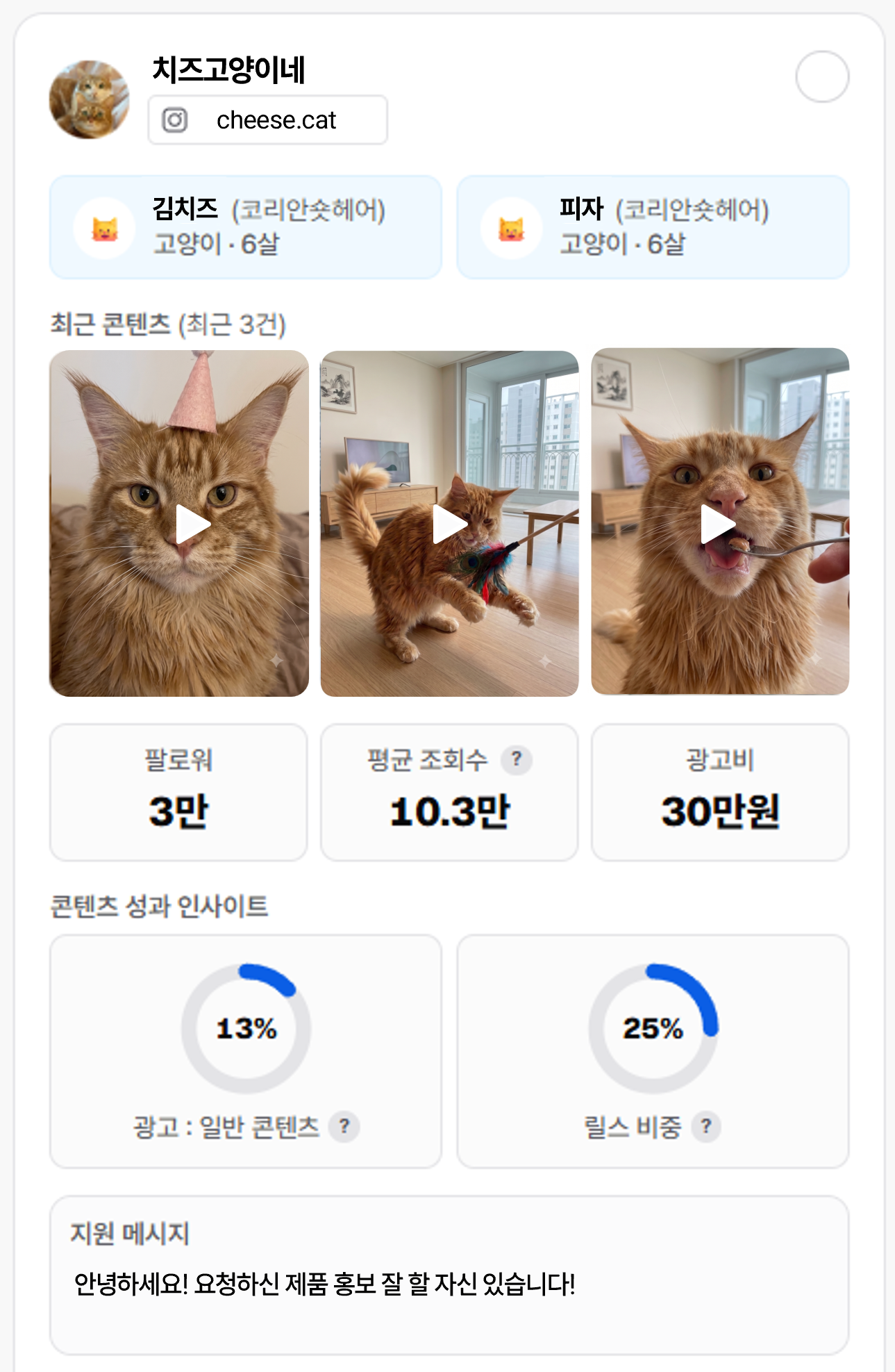펫 인플루언서 프로필 예시 — 더블 치즈 도담비네 (@dodambi_05)