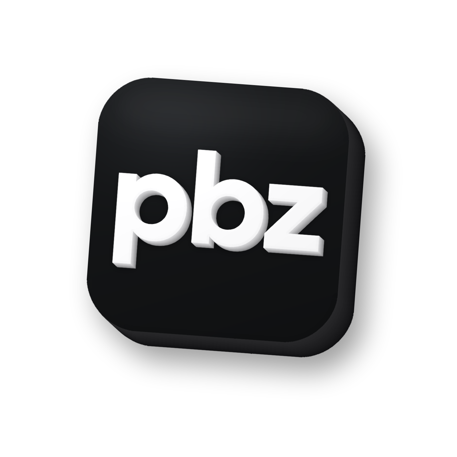 펫브랜즈 petbrandz 로고